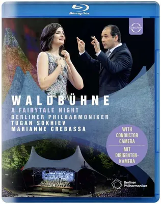 Image de Waldbühne 2019 - Une nuit de conte de fées
