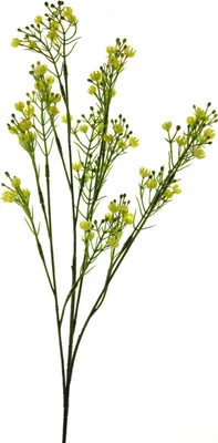 Produktbild von artplants.de Dekoblume Schleierkraut LINFENG, gelb, 70 cm - Künstliche Blume