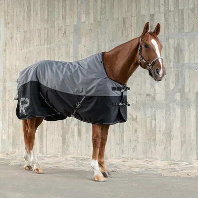 Productafbeelding van Paardendeken Winter - Staldeken Paard - Paard Warm Houden - Reflecterende Elementen - 140 cm - Grijs