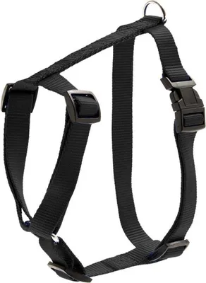 Zdjęcie produktu dla Art Uprzęż Sportowa, Czarna 15 Mm 35–50 Cm