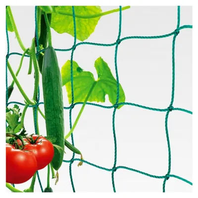 Produktbild von Ranknetz mit großer Maschenweite für das optimale Wachstum von Tomaten, Gurken und Kletterpflanzen - Maschenweite (10 cm), Größe: 5 x 2 m