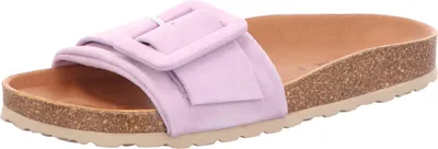 Image de Verbènes REIKO RODA violet pourpre