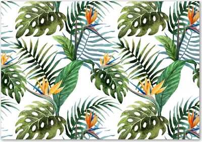 Produktbild von Tulup® Glas-Bild - 100 x 70 - Wandbild aus Glas - Wandkunst - Wandbild hinter gehärtetem Sicherheitsglas - Blumen & Pflanzen - Tropische Blumen - Grün