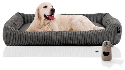 Produktbild von Rohrschneider Hundesofa große Hunde | Cord Hundebett groß | dog bed xxl |Hundebett erhöht | Pflegeleichtes Hundebett mit Hundekissen 120x80 cm| Hundekörbchen kuschelig | Geschenke Hundeliebhaber, Farbe:grau