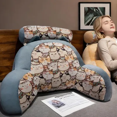 Image de Coussin de lecture ergonomique avec oreiller amovible et support