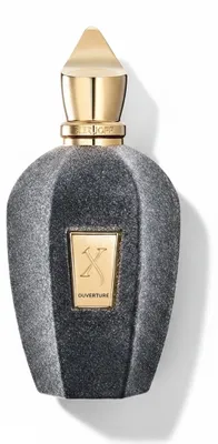 Immagine prodotto di Xerjoff Overture eau de parfum unisex 100 ml
