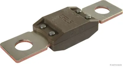 Image de Fusible HERTH+BUSS ELPARTS 50295845