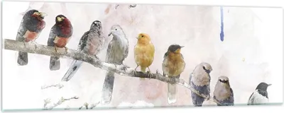 Produktbild von Bilder auf glas - Einteilig - Vögel Kanarienvogel Zweig - 90x30cm - Glasbilder - Wandbilder - Bilder - zum Aufhängen bereit - Wanddekoration aus Glas - Glas Bilder - Wandbild auf Glas - GAB90x30-4175