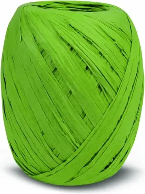 Produktbild von PRÄSENT Ringelband Paper Raffia Eiknäuel maigrün 10mmx30m aus Papier