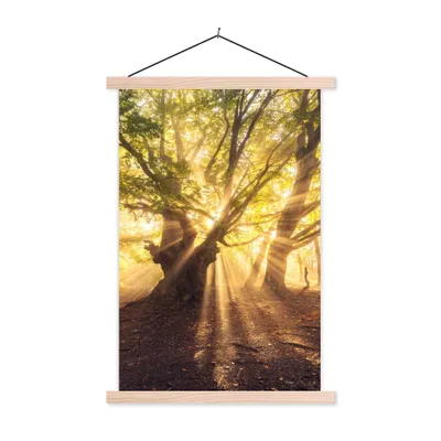 Produktbild von MuchoWow® Textilposter Baum - Wald - Sonne 120x180 cm mit holzfarbenen Rahmen - Textil-Plakat