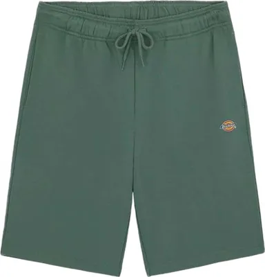 Image de Short Dickies DK0A4Y83H151 pour Uni
