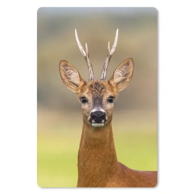 Produktbild von MuchoWow® Mauspad Mousepad Hirsch - Geweih - Hirschkopf 18x27 cm - Mousepads - Maus Mat - Pad - Mausunterlage