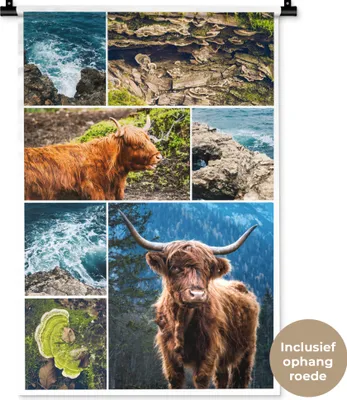 Produktbild von MuchoWow® Wandteppich Wandbehang Schottisches Hochlandrind - Collage - Tiere 60x90 cm Tapisserie Dekoration Wandtuch - Foto-Teppich - Abwaschbar