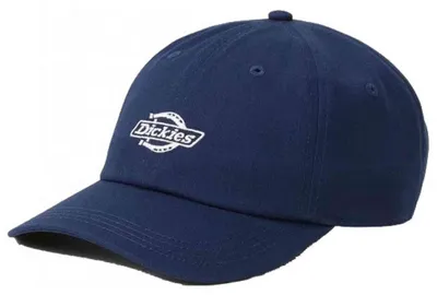 Image de Casquette Dickies DK0A4Z6NCT91 pour Uni