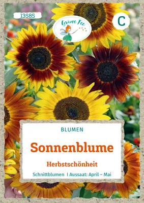 Produktbild von Grüne Fee - Sonnenblume Herbstschönheit Samen - 13585