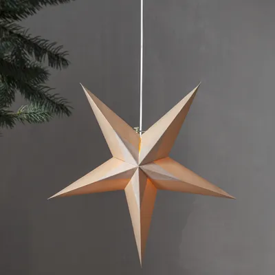 Papierstern Diva - hängend - D: 60cm - Samtstern - beige