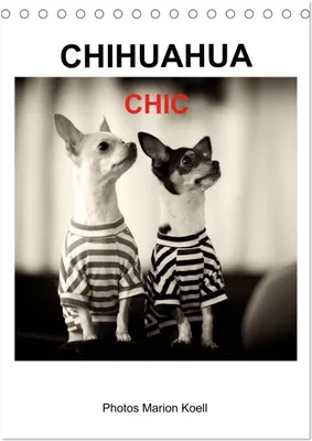 Produktbild von CHIHUAHUA CHIC Photos Marion Koell (Tischkalender 2026 DIN A5 hoch), CALVENDO Monatskalender