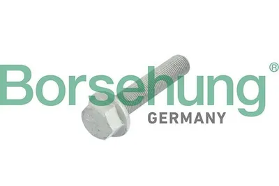 Produktbild von Borsehung Zentrierschraube Riemenscheibe-Kurbelwelle B10633 für VW Golf VII Schrägheck (5G1, BQ1, BE1, BE2)