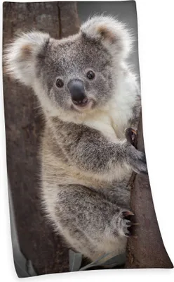 Produktbild von Velourstuch Duschtuch Badetuch Strandtuch mit Koala 75 x 150cm