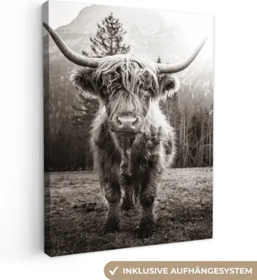 Obrázok produktu pre MuchoWow® - Plátno - Škótsky horal - Čierna - Biela - Zvieratá, nástenný obraz, nástenné dekorácie obrazy obývacia izba, 90x120cm