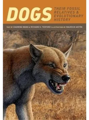 Produktbild von Dogs
