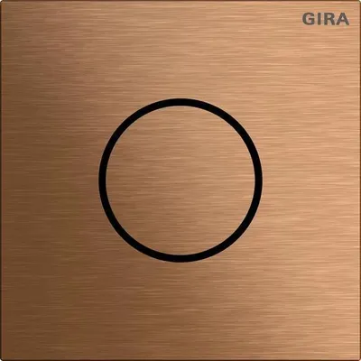 Produktbild von GIRA System 106, Ruftasten-Modul, Bronze, GIRA, Aluminium, Metall, Edelstahl, Wand, IP54