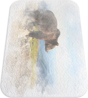 Produktbild von Bodenschutzmatte - Bodenmatte - 140x100 cm - Stuhlmatte - Matte - Aquarell