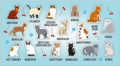 Immagine prodotto di Aufkleber Set mit 10 Katzenrassen Motiven zum Verzieren von Notizbüchern und Alben
