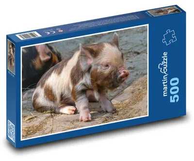 Produktbild von Puzzle 500 Süßes Ferkel auf dem Bauernhof - martinpuzzle