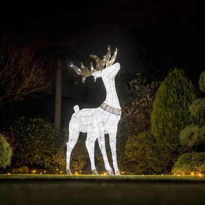 Obrázek produktu pro LED světlo pro jeleny, 150 cm, 161 LED diod s bleskovým efektem