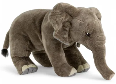 Produktbild von Carl Dick Afrikanischer Elefant ca. 30cm, Plüschtier, Stofftier, Kuscheltier 3726