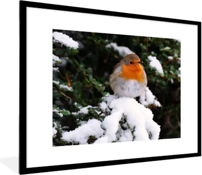 Produktbild von MuchoWow® Gerahmtes Poster Rotkehlchen - Baum - Schnee 80x60 cm - Poster mit Schwarzem Bilderrahmen Wandposter Rahmen Foto Bilder - Schlafzimmer-Dekorationen - Fotoposter