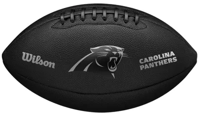 Image de Balons Wilson WF4015805XB