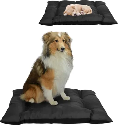 Produktbild von Anwicar Hundebett - Hundekissen - Hundebetten - Hunde Bett - 90x120 cm - Graphit