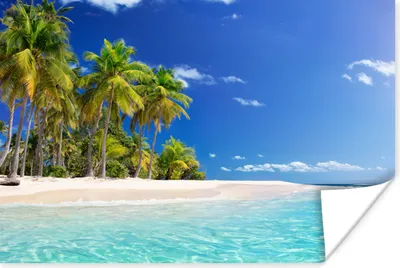 Produktbild von MuchoWow® Poster Strand - Meer - Palme - Sonne - Sommer 120x80 cm - Bilder