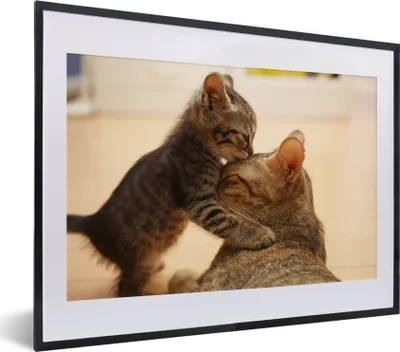 Produktbild von MuchoWow® MuchoWow® Gerahmtes Poster Ein Kätzchen mit seiner Mutter 40x30 cm - Poster mit zchwarzem Bilderrahmen - Bilderrahmen - Poster im Rahmen