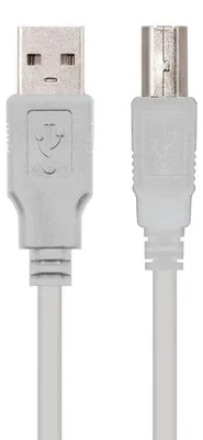 Obrázok produktu pre Nanocable 10.01.0102, 1 m, USB A, USB B, USB 2.0, Samec/samec, Béžová