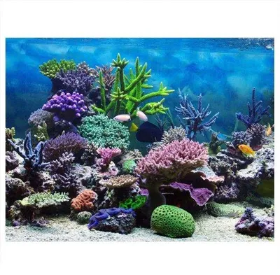 Produktbild von Aquarium-Hintergrunddeko - Selbstklebend - Realistische Unterwasser-Korallen - 61 x 30 cm - Innovatives Design