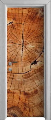 Produktbild von Tür Selbstklebende 70x210 cm Türfolie Türtapete Klebefolie - Holz Stamm