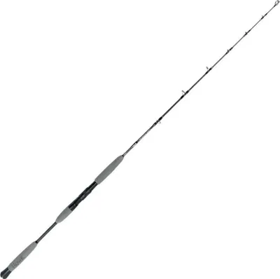 Produktbild von Howk Special One S Jiggingrute Silber 1.60 m / 500 g Silber 1.60 m