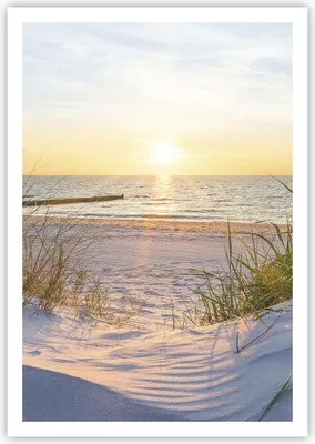 Produktbild von Poster - Poster ohne Rahmen - Düne Strand Meer - 70x100 cm - Wand Bild - Wanddeko - Wandbilder - Kunstposter - Wandposter - Bilder - Kunstdruck - Wanddekoration - Wandbild - P2XPA70x100-3989