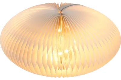 Produktbild von Elzusha – Papierlampen für stilvolle Beleuchtung, 14 cm
