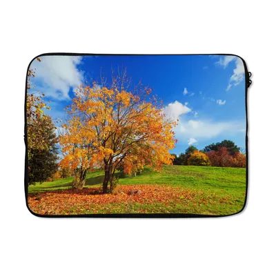 Produktbild von MuchoWow® Laptop Hülle 14 ZollBaum - Blätter - Herbst - Jahreszeiten Laptoptasche - Laptoptasche - Stoßsicher - Schutzhaube