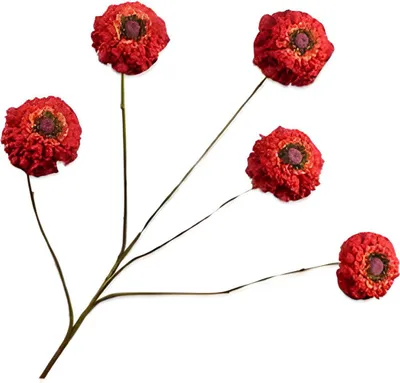 Produktbild von Warentuin Producten