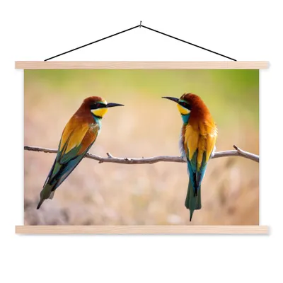 Produktbild von MuchoWow® Textilposter Vögel - Bienenfresser - Tiere 60x40 cm mit holzfarbenen Rahmen - Bilder