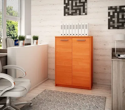 Produktbild von MATKAM Bürokommode 2D2P 2-türig, H/B/T 108 x 77 x 35 cm, mit zwei Innenregalen (Abstand 31,7 cm, passend für einen Standard-Ordner) (Erle)