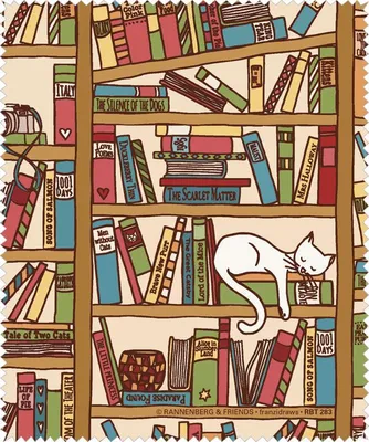 Produktbild von Brillenputztuch "Katze im Bücherregal"