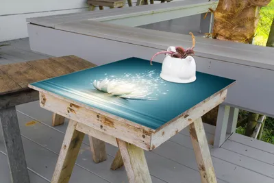 Produktbild von Wallario selbstklebende Möbelfolie/ Tischdecke für Innen und Außen, Größe: 60 x 60 cm - Lotosblüte auf Wasser
