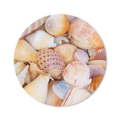 Produktbild von MuchoWow® Mauspad Mousepad Muscheln - Strand - Sommer - Orange 20x20 cm - Mousepads - Maus Mat - Pad - Mausunterlage - Schreibtischmatte