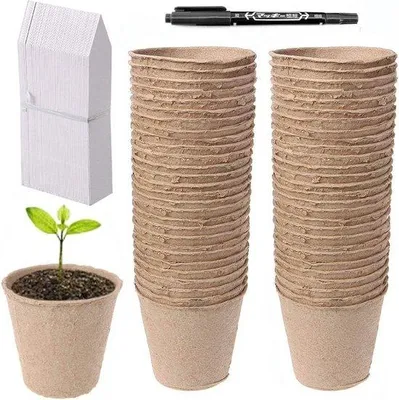 Produktbild von Kleinkammer-Set, Mini-Brutkasten, Pflanzbox